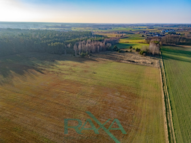 Działka Sprzedaż Pobyłkowo Małe 3