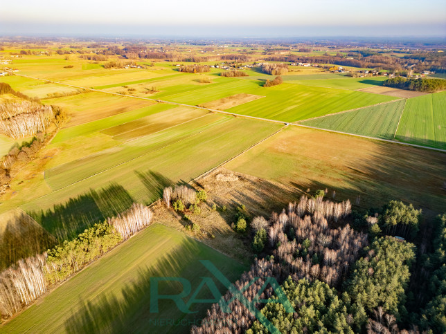 Działka Sprzedaż Pobyłkowo Małe 10