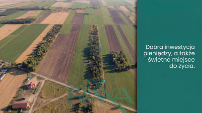 Działka Sprzedaż Pokrzywnica