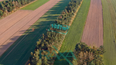 Działka Sprzedaż Pokrzywnica