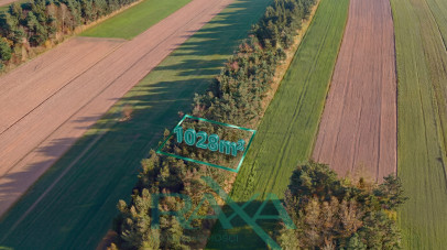 Działka Sprzedaż Pokrzywnica